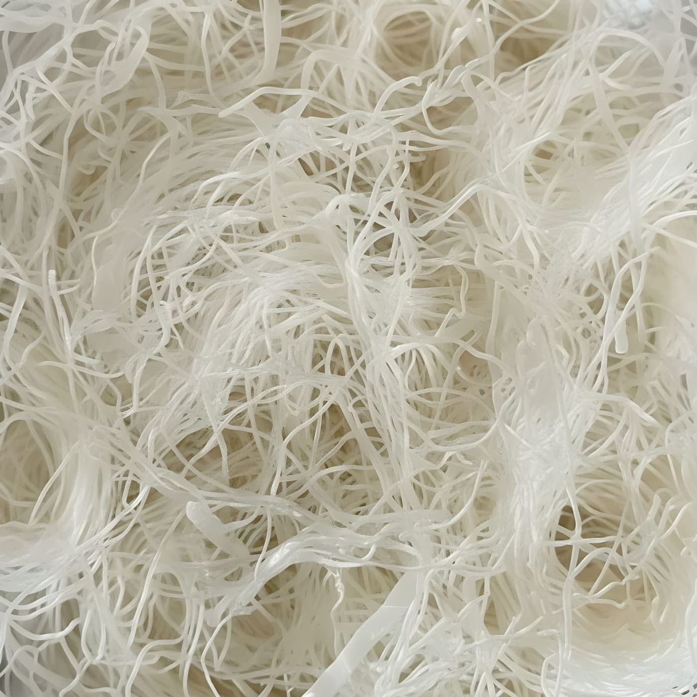 Algae Thread · macro