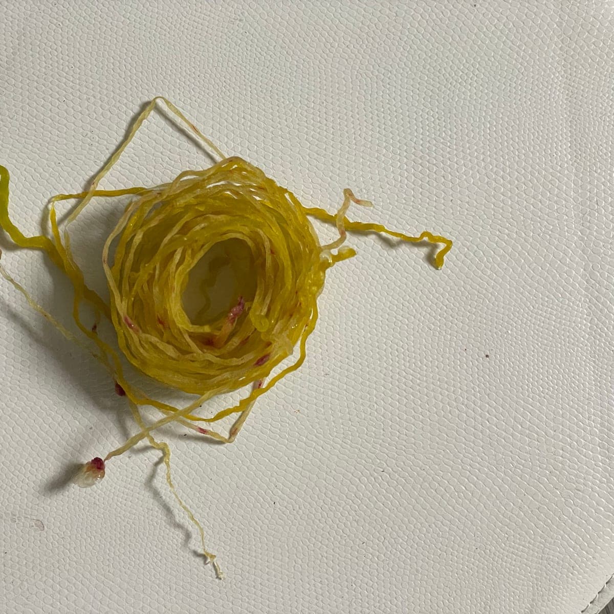 Woven Decay · process