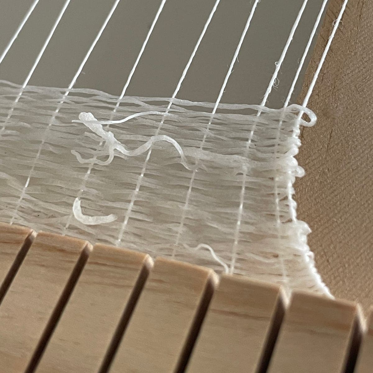 Algae Yarn · process